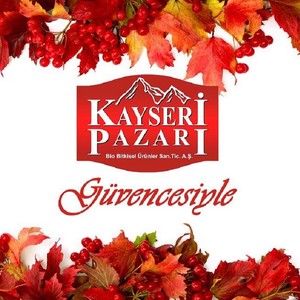 Gilaburu Mikroen 45 Adet Kapsül